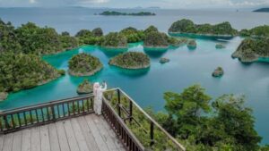 Kontroversi Raja Ampat: Pariwisata vs Tambang, Mana yang Menang?
